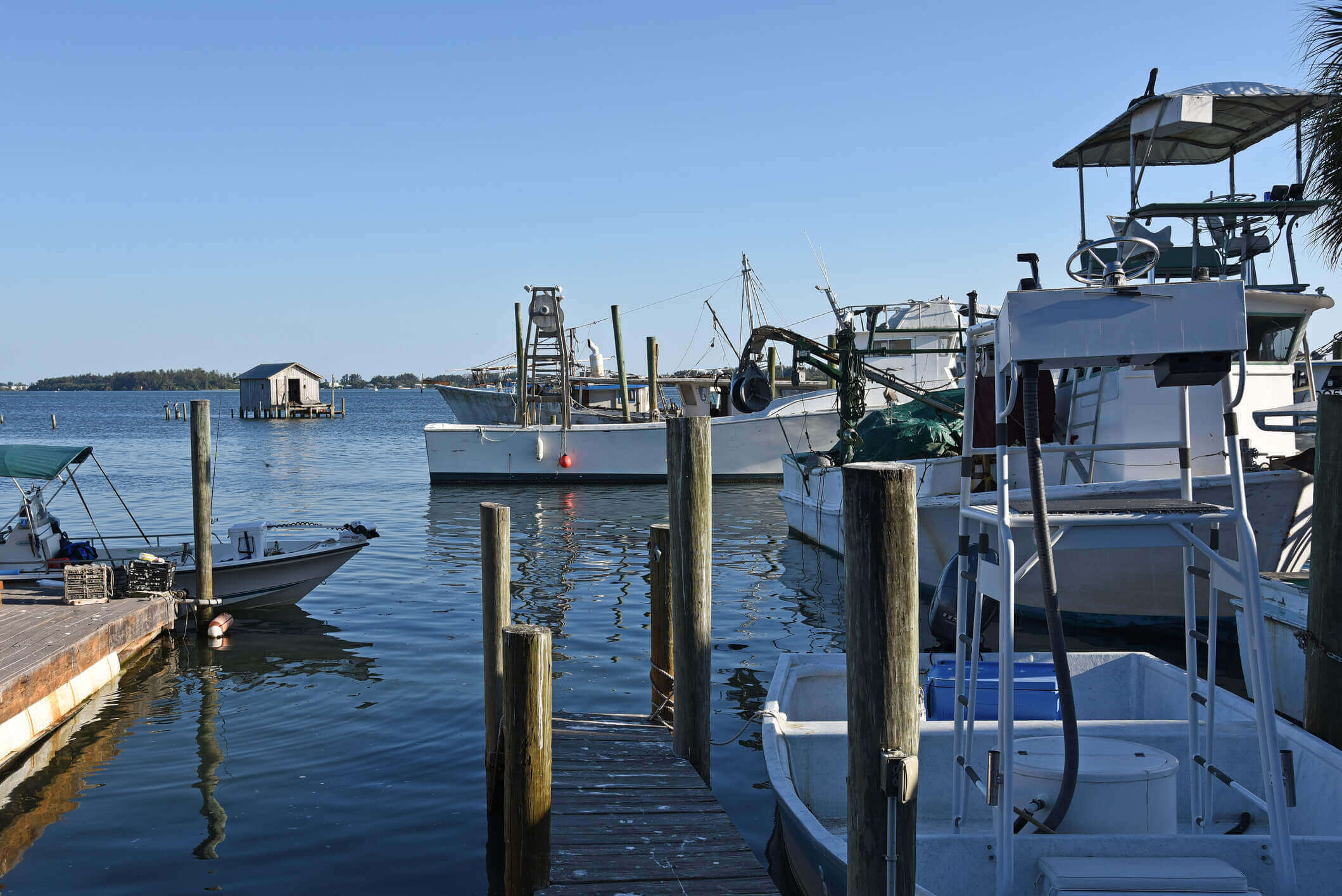 veterans charity fishing trip -louisiana