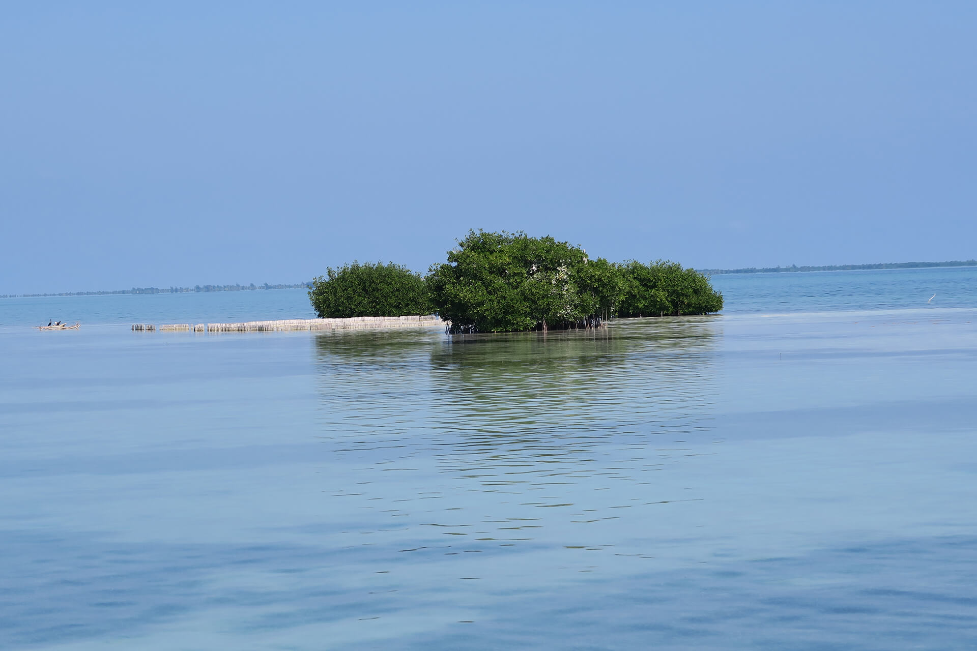 veterans charity fishing trip -belize 2016