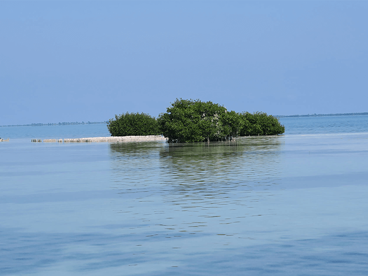 veterans charity fishing trip -belize 2016